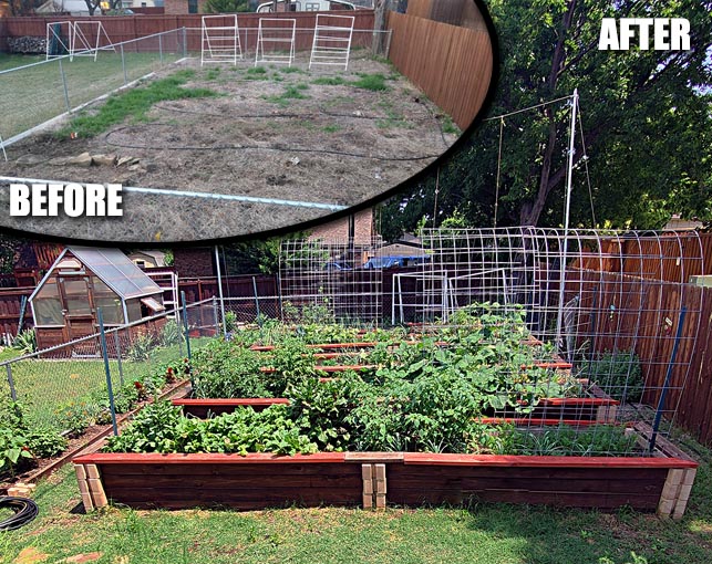 Fenced Raised Bed Gardens Before and After